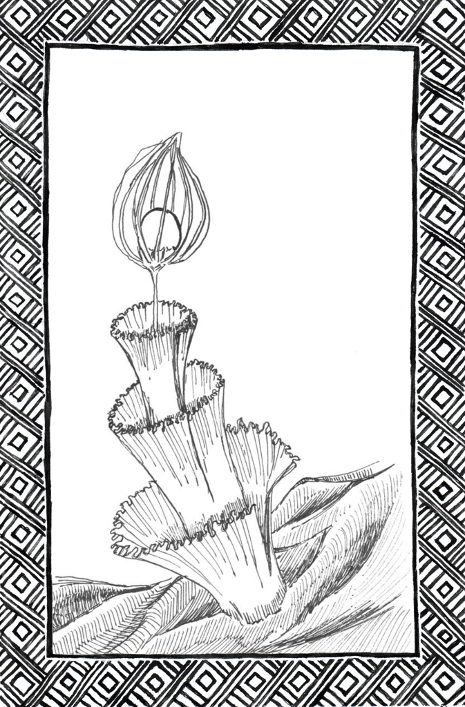Slide 22